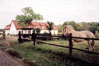 Dolgemost Rügen A.Petri Herrenhaus m. Ferienwohnungen